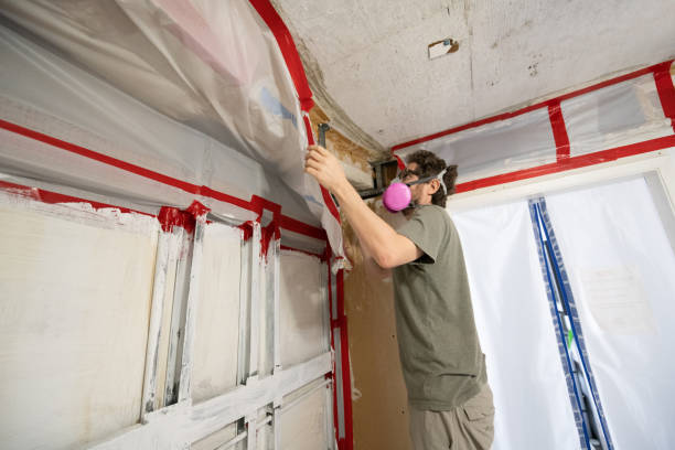 Best Commercial Mold Inspection  in Emerson, NJ