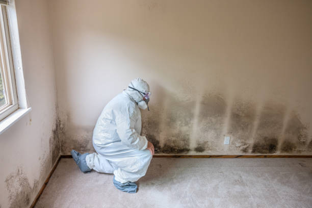 Best Crawl Space Mold Remediation  in Emerson, NJ